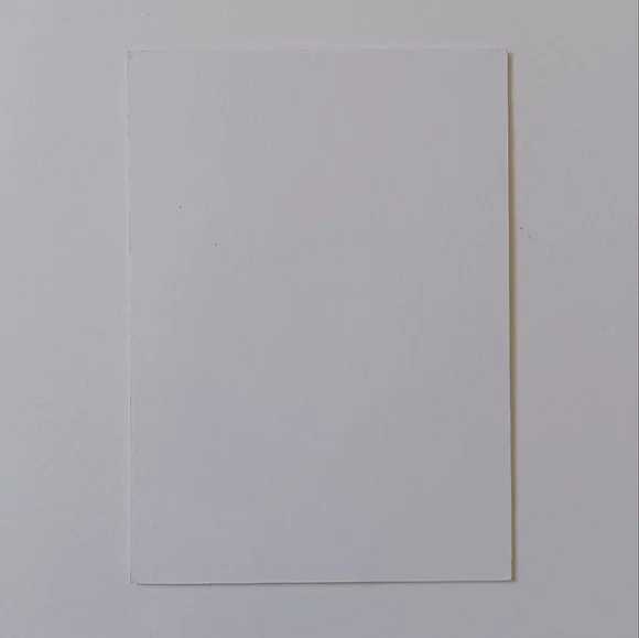 ORIGINAL ART Ink Poppies on Maroon Mat Board. 5"x7" Moody, Whimsical, Subtle - Picture 7 of 7